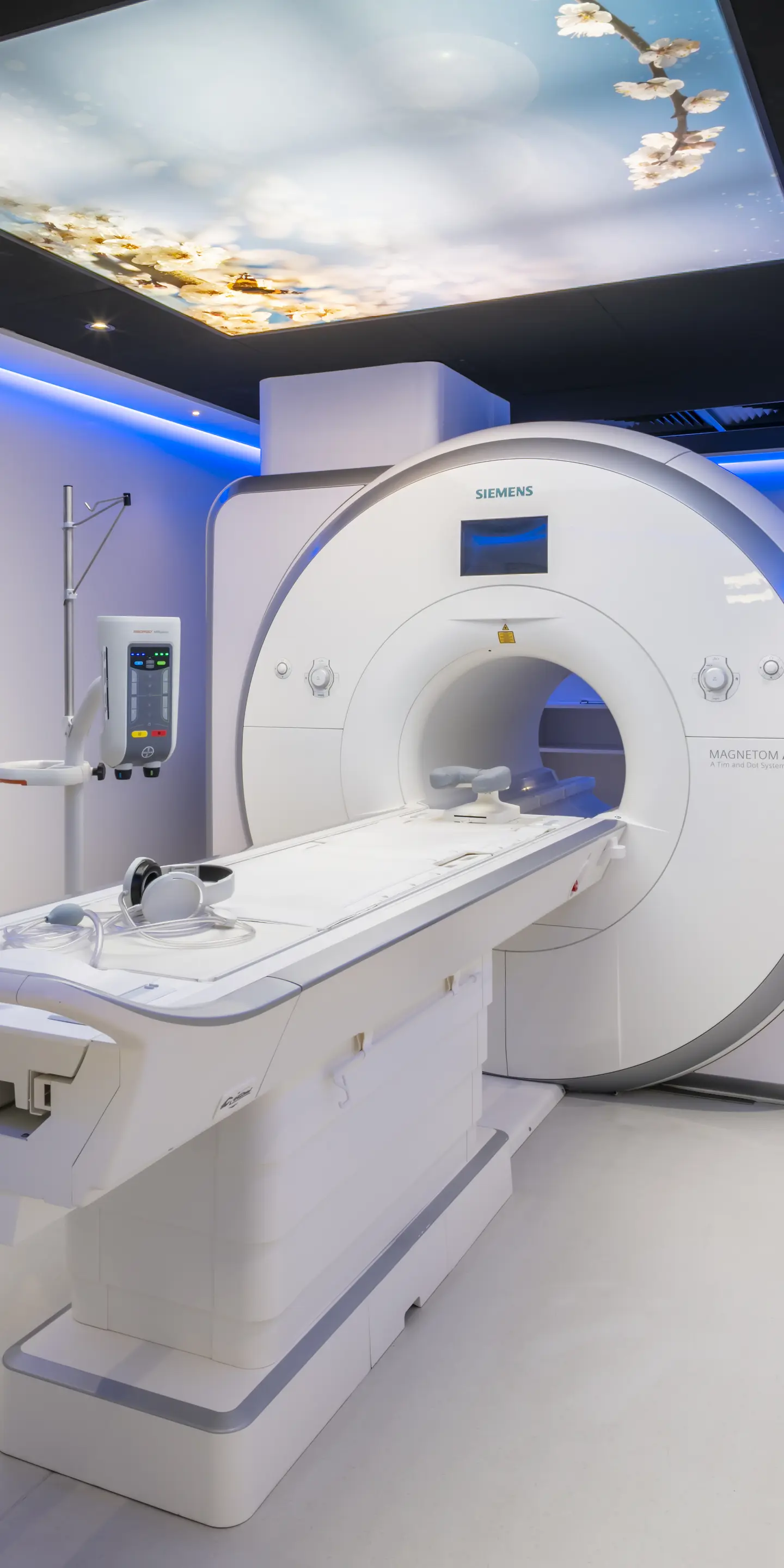 Redruthcdc Dec2025 024